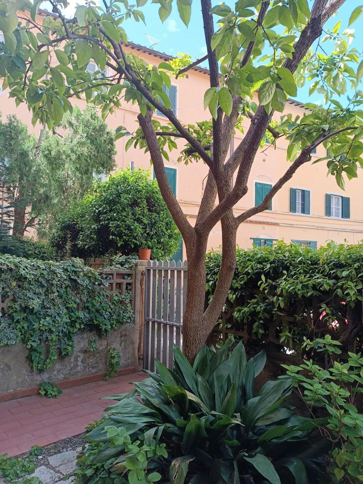 Maioliche Cozy Apartment Pisa Exterior foto